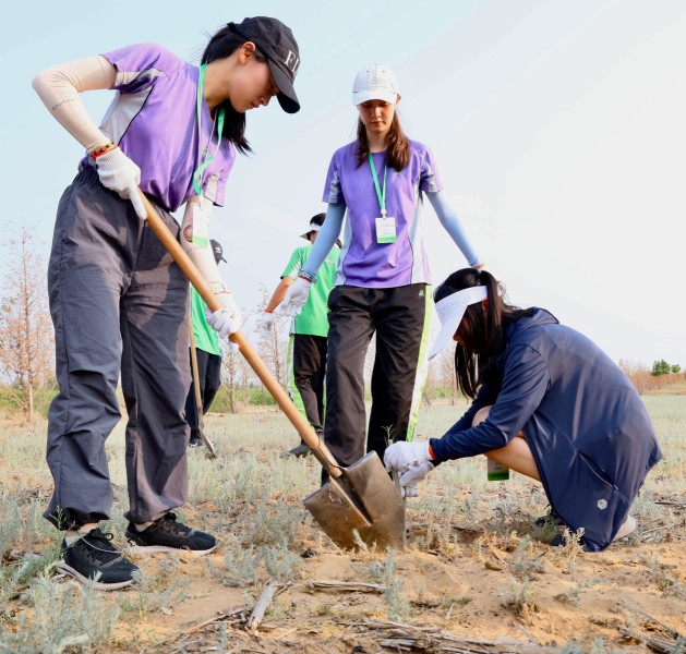 Inner-Mongolia-Kubuqi-Desert-Ecology-Study-Tour-58